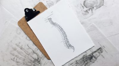 Vertebrate Form